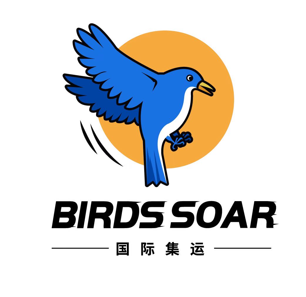 Birds soar国际集运